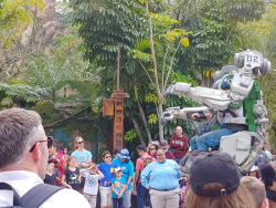 photos/2020/03/Animal Kingdom - Pandora 2020-03-10 018.jpg