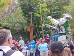 photos/2020/03/Animal Kingdom - Pandora 2020-03-10 019.jpg