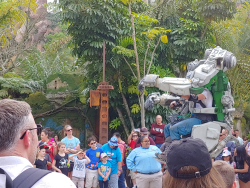 photos/2020/03/Animal Kingdom - Pandora 2020-03-10 020.jpg