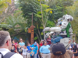 photos/2020/03/Animal Kingdom - Pandora 2020-03-10 021.jpg