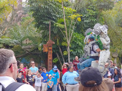 photos/2020/03/Animal Kingdom - Pandora 2020-03-10 022.jpg