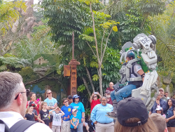 photos/2020/03/Animal Kingdom - Pandora 2020-03-10 023.jpg