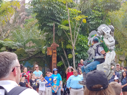 photos/2020/03/Animal Kingdom - Pandora 2020-03-10 025.jpg