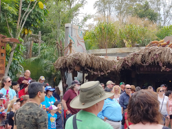 photos/2020/03/Animal Kingdom - Pandora 2020-03-10 028.jpg