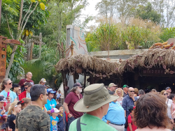 photos/2020/03/Animal Kingdom - Pandora 2020-03-10 030.jpg