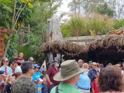 photos/2020/03/Animal Kingdom - Pandora 2020-03-10 032.jpg