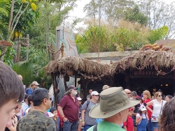 photos/2020/03/Animal Kingdom - Pandora 2020-03-10 034.jpg