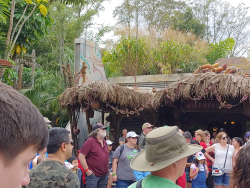 photos/2020/03/Animal Kingdom - Pandora 2020-03-10 036.jpg