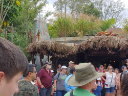 photos/2020/03/Animal Kingdom - Pandora 2020-03-10 037.jpg