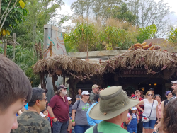 photos/2020/03/Animal Kingdom - Pandora 2020-03-10 038.jpg