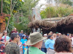 photos/2020/03/Animal Kingdom - Pandora 2020-03-10 039.jpg