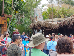 photos/2020/03/Animal Kingdom - Pandora 2020-03-10 040.jpg