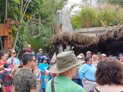 photos/2020/03/Animal Kingdom - Pandora 2020-03-10 041.jpg