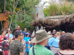 photos/2020/03/Animal Kingdom - Pandora 2020-03-10 042.jpg