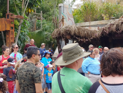 photos/2020/03/Animal Kingdom - Pandora 2020-03-10 043.jpg