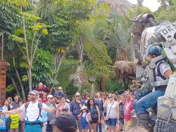 photos/2020/03/Animal Kingdom - Pandora 2020-03-10 053.jpg