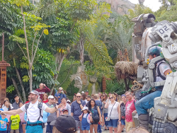 photos/2020/03/Animal Kingdom - Pandora 2020-03-10 054.jpg