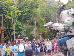 photos/2020/03/Animal Kingdom - Pandora 2020-03-10 055.jpg