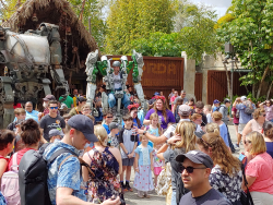 photos/2020/03/Animal Kingdom - Pandora 2020-03-10 057.jpg