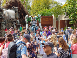 photos/2020/03/Animal Kingdom - Pandora 2020-03-10 059.jpg