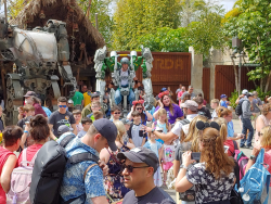 photos/2020/03/Animal Kingdom - Pandora 2020-03-10 062.jpg