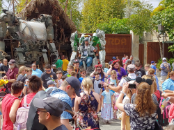 photos/2020/03/Animal Kingdom - Pandora 2020-03-10 063.jpg