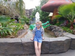 photos/2020/03/Animal Kingdom - Rain Forest Cafe 2020-03-12 002.gif