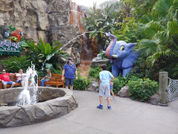 photos/2020/03/Animal Kingdom - Rain Forest Cafe 2020-03-12 011.jpg