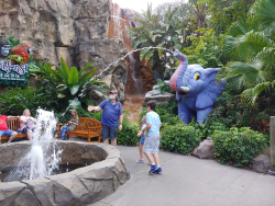 photos/2020/03/Animal Kingdom - Rain Forest Cafe 2020-03-12 012.jpg