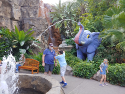 photos/2020/03/Animal Kingdom - Rain Forest Cafe 2020-03-12 015.jpg