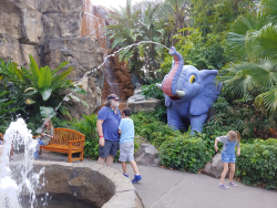 photos/2020/03/Animal Kingdom - Rain Forest Cafe 2020-03-12 016.jpg