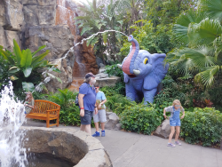 photos/2020/03/Animal Kingdom - Rain Forest Cafe 2020-03-12 017.jpg