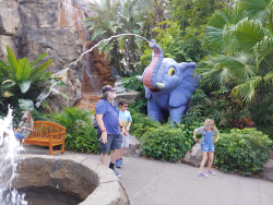 photos/2020/03/Animal Kingdom - Rain Forest Cafe 2020-03-12 018.jpg