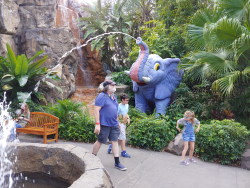 photos/2020/03/Animal Kingdom - Rain Forest Cafe 2020-03-12 019.jpg