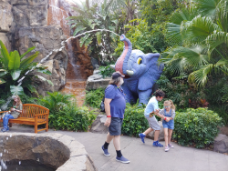 photos/2020/03/Animal Kingdom - Rain Forest Cafe 2020-03-12 021.jpg