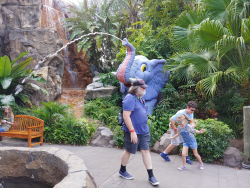 photos/2020/03/Animal Kingdom - Rain Forest Cafe 2020-03-12 022.jpg