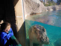 photos/2021/01/Dallas Zoo 2021-01-15 021.jpg