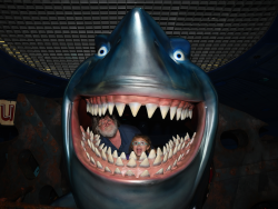 photos/2020/03/Epcot - Bethany ad Jerry with Bruce the Shark 2020-03-07 001.jpg