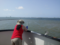 photos/2021/07/Galveston Ferry 2021-07-16 004.jpg