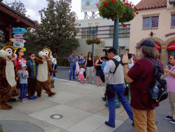 photos/2020/03/Hollywood Studios - Chip and Dale 2020-03-08 002.jpg