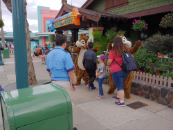 photos/2020/03/Hollywood Studios - Chip and Dale 2020-03-08 006.jpg