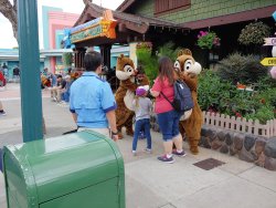 photos/2020/03/Hollywood Studios - Chip and Dale 2020-03-08 007.jpg