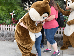 photos/2020/03/Hollywood Studios - Chip and Dale 2020-03-08 009.jpg