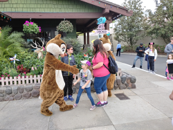 photos/2020/03/Hollywood Studios - Chip and Dale 2020-03-08 010.jpg