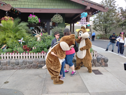 photos/2020/03/Hollywood Studios - Chip and Dale 2020-03-08 012.jpg