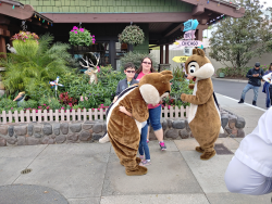 photos/2020/03/Hollywood Studios - Chip and Dale 2020-03-08 014.jpg