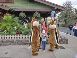 photos/2020/03/Hollywood Studios - Chip and Dale 2020-03-08 016.jpg