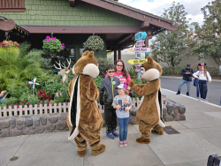 photos/2020/03/Hollywood Studios - Chip and Dale 2020-03-08 017.jpg