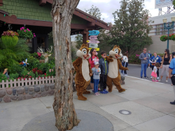 photos/2020/03/Hollywood Studios - Chip and Dale 2020-03-08 026.jpg