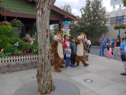 photos/2020/03/Hollywood Studios - Chip and Dale 2020-03-08 027.jpg